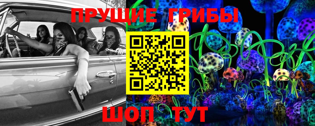 Псилоцибиновые грибы Cubensis Ярцево